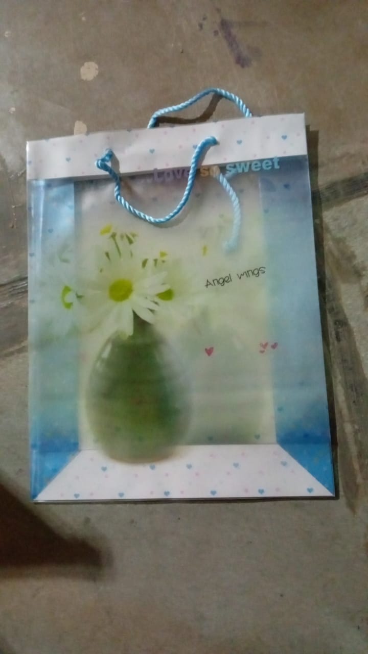 Plastic Transparent Bag With Handle (1 Pc / 34 x 26 Cm)